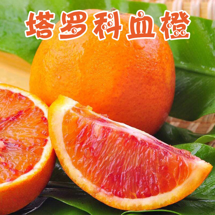 【预售】塔罗科血橙 60 - 65mm 4两以下