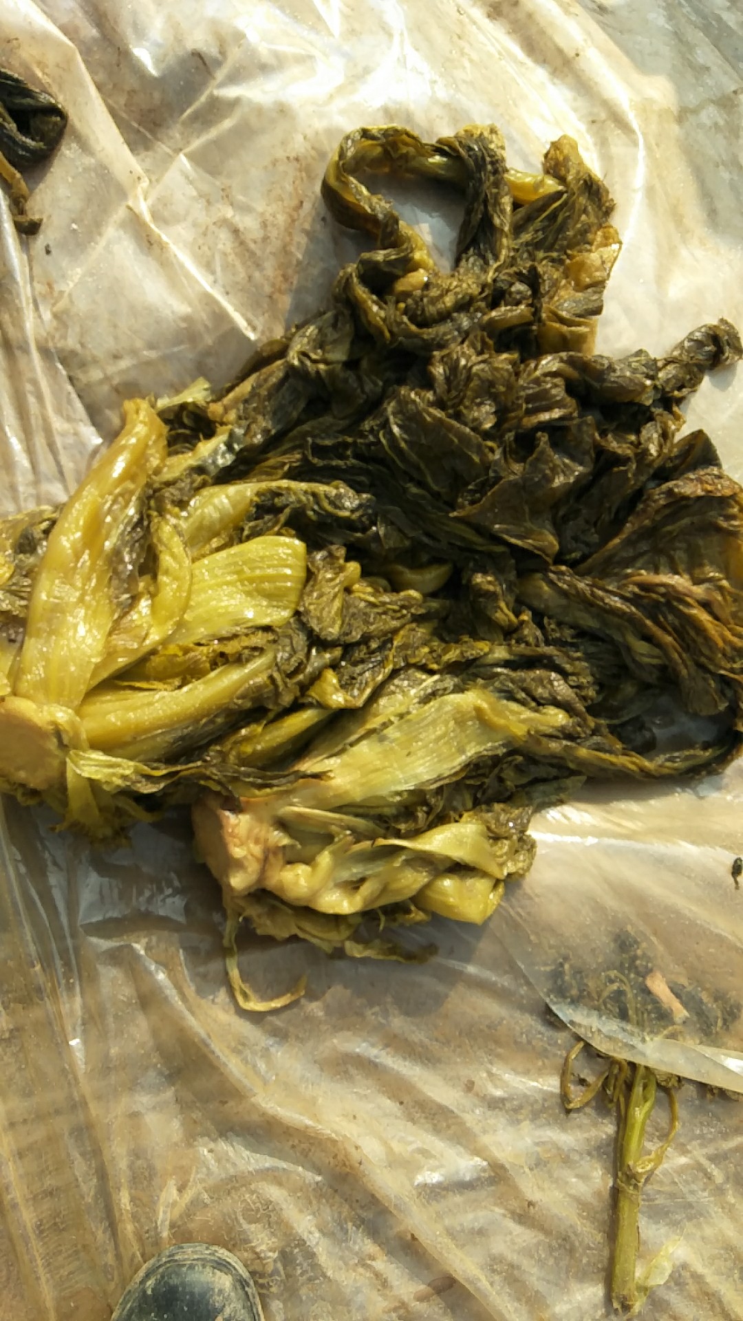 供应大厅  农副加工  腌制蔬菜