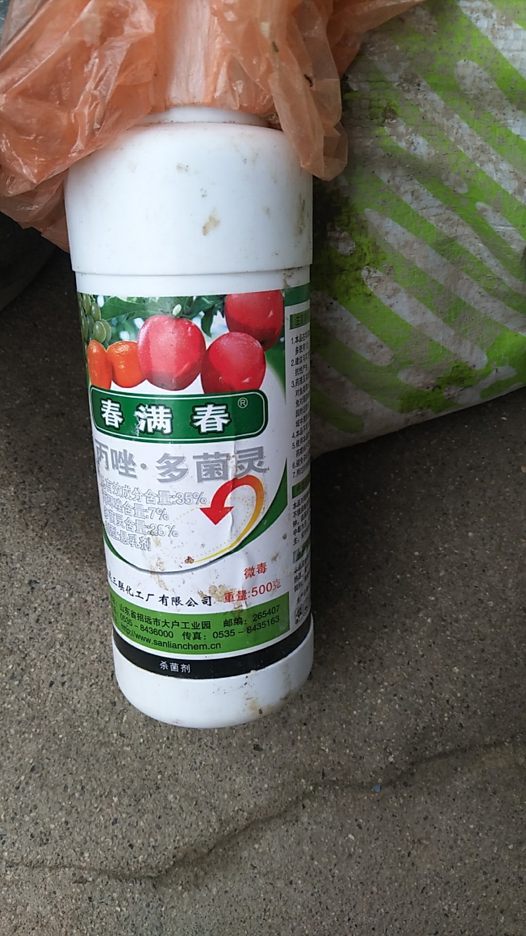 甘平柑橘苗 嫁接苗 0.35~0.5米