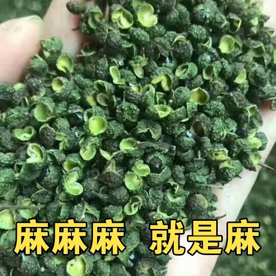 青麻椒 一斤包邮量大优惠