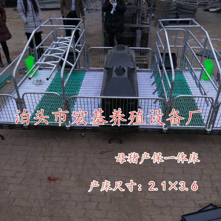 母猪产床 母猪双体产床厂家直销