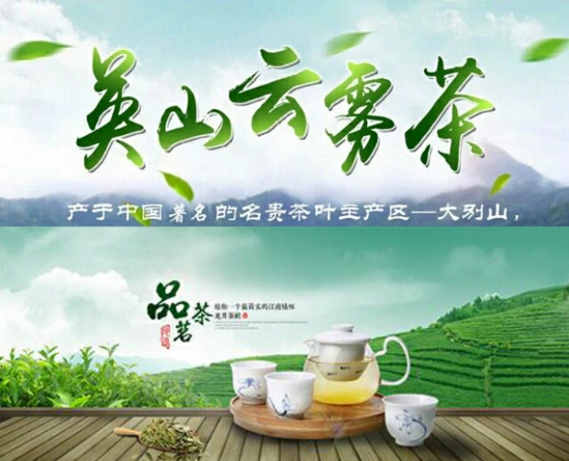 茶叶湖北特产英山云雾茶手工茶机械茶高山绿茶