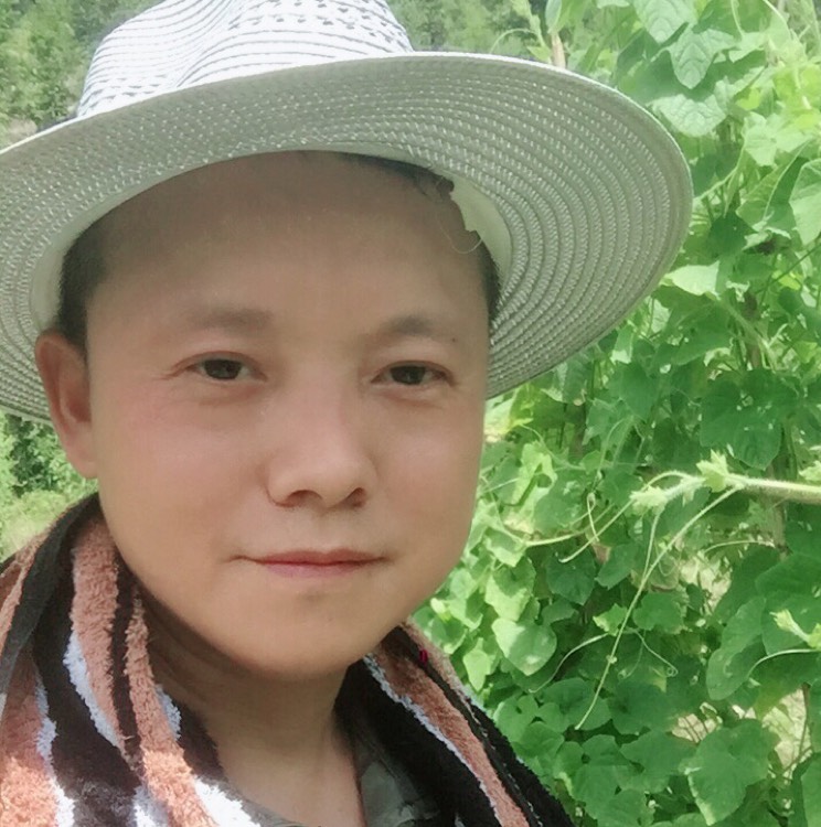 【火参果种子批发】火参果种子价格40元/包 500包起批