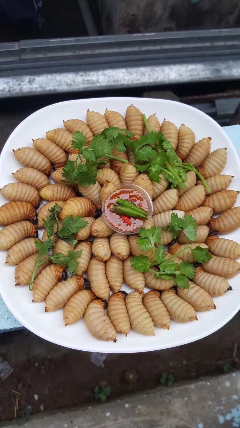 竹虫