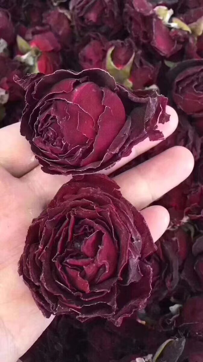 法国墨红玫瑰