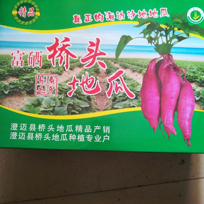 红心红薯 海南澄迈