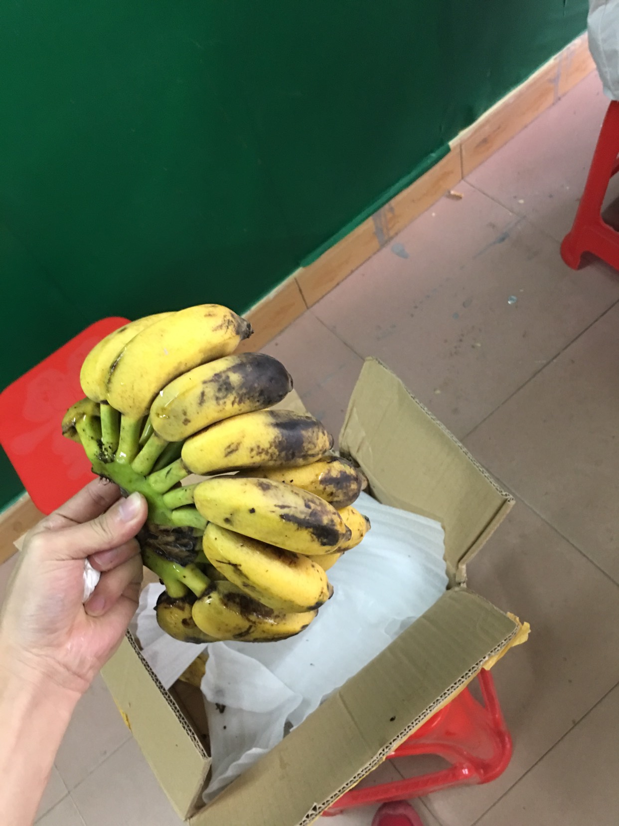 自家种植小米蕉25元9斤净果包邮