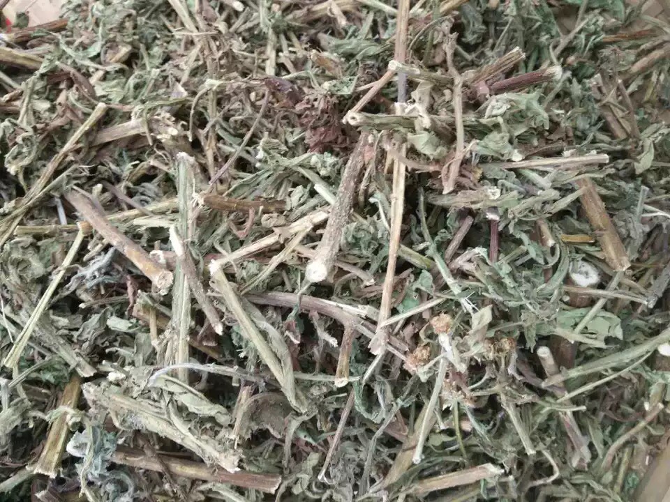 正品野生中草药六耳棱,六棱菊,百草王,六耳铃 四棱锋