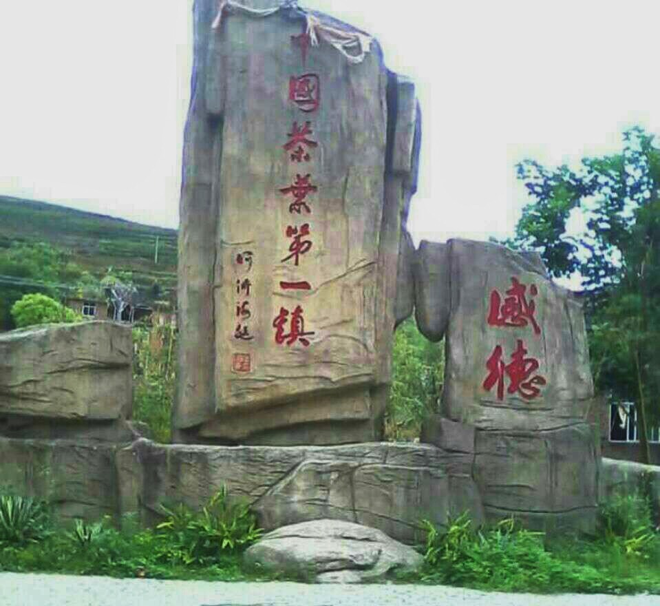 正宗产地安溪感德镇高山茶,海拨594.