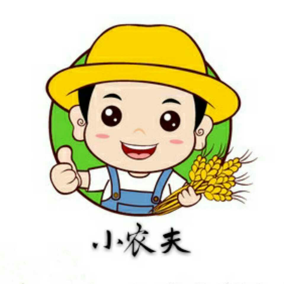 花生芽 人工种植 10-15cm