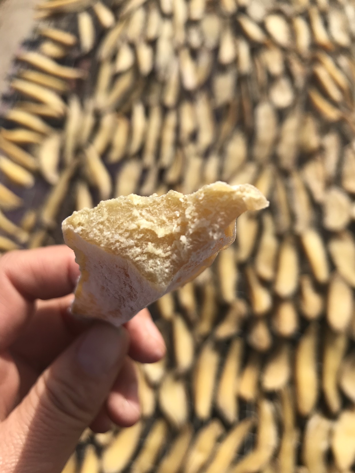 红薯干 蜂蜜罐白霜地瓜干荣成特产地瓜枣蜜薯干产地直供电商