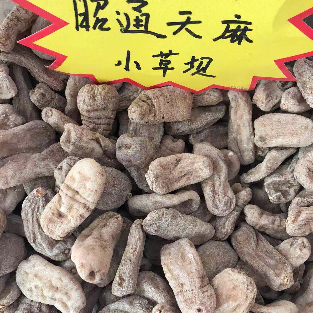小草坝天麻