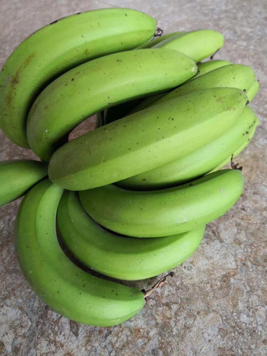 威廉斯香蕉 七成熟 约3.0斤/箱
