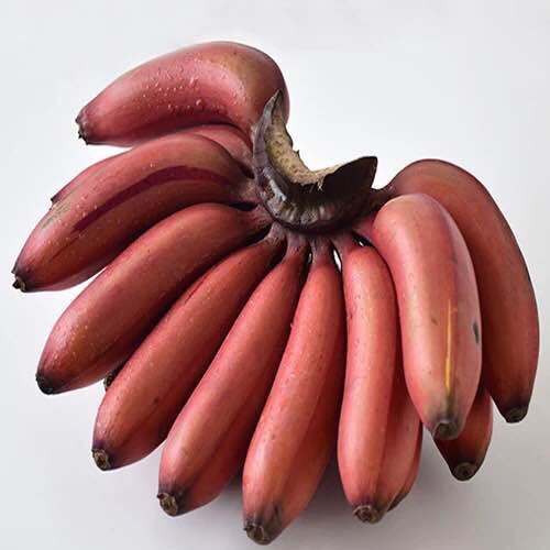 【红香蕉批发】红香蕉价格32.8元\/箱 1箱起批