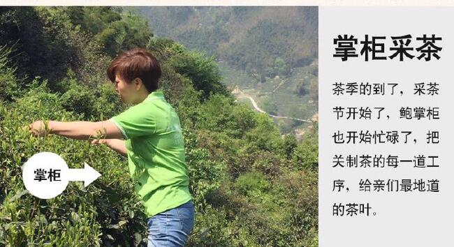 六安瓜片 罐装