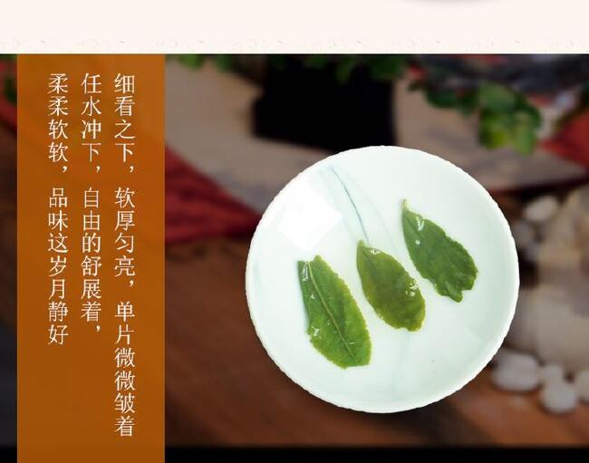 六安瓜片 罐装