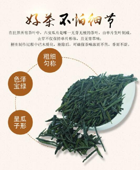 六安瓜片 罐装