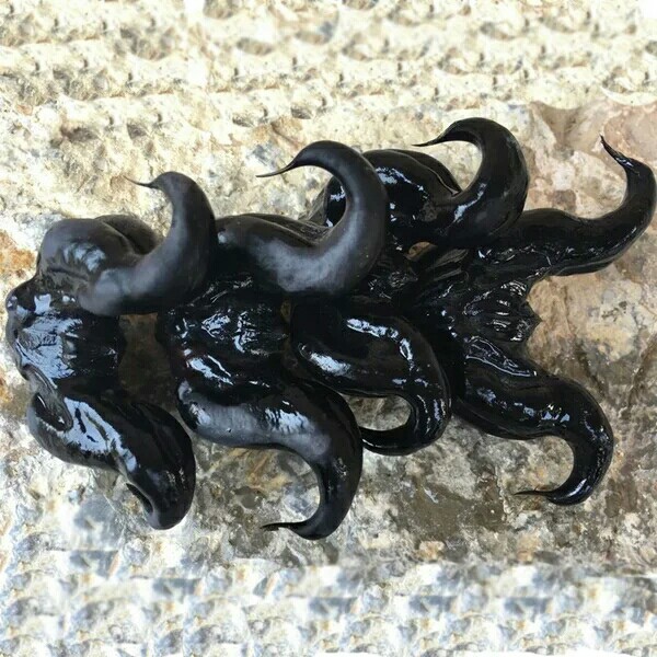 菱角