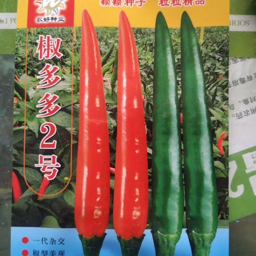 朝天椒种子椒多多2号泰系早熟大果果面光滑红润肉厚腔实耐老性强