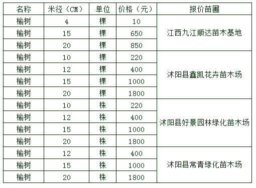 榆树苗木价格持稳预计后期波动不大