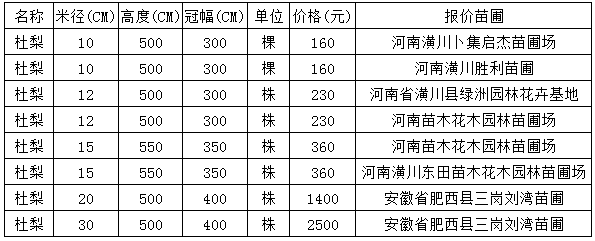 北方乡土树种杜梨或成热销树种