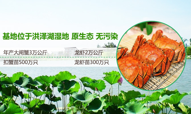 泗洪县柳山湖特种水产养殖专业合作社