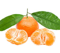 雪峰蜜桔-柑橘