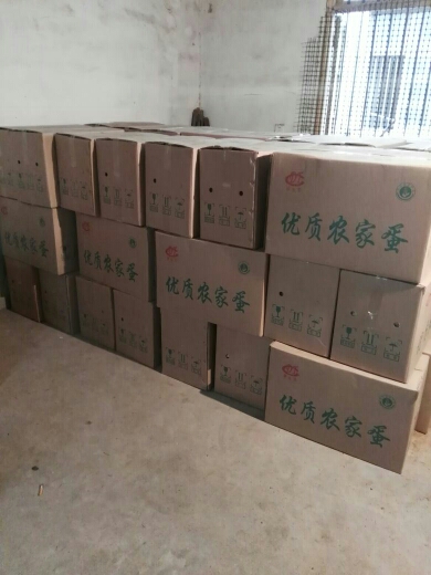 绿壳鸡蛋 食用 箱装 约40.0斤/箱