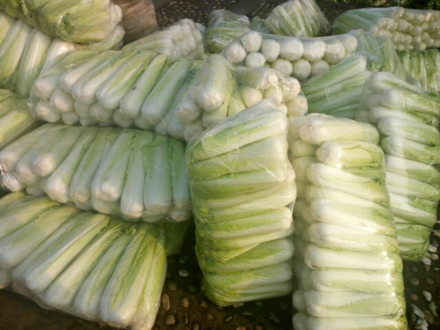 竹筒白菜 1~2斤