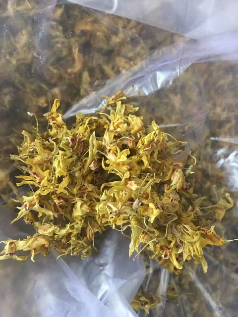 鐵皮石斛花