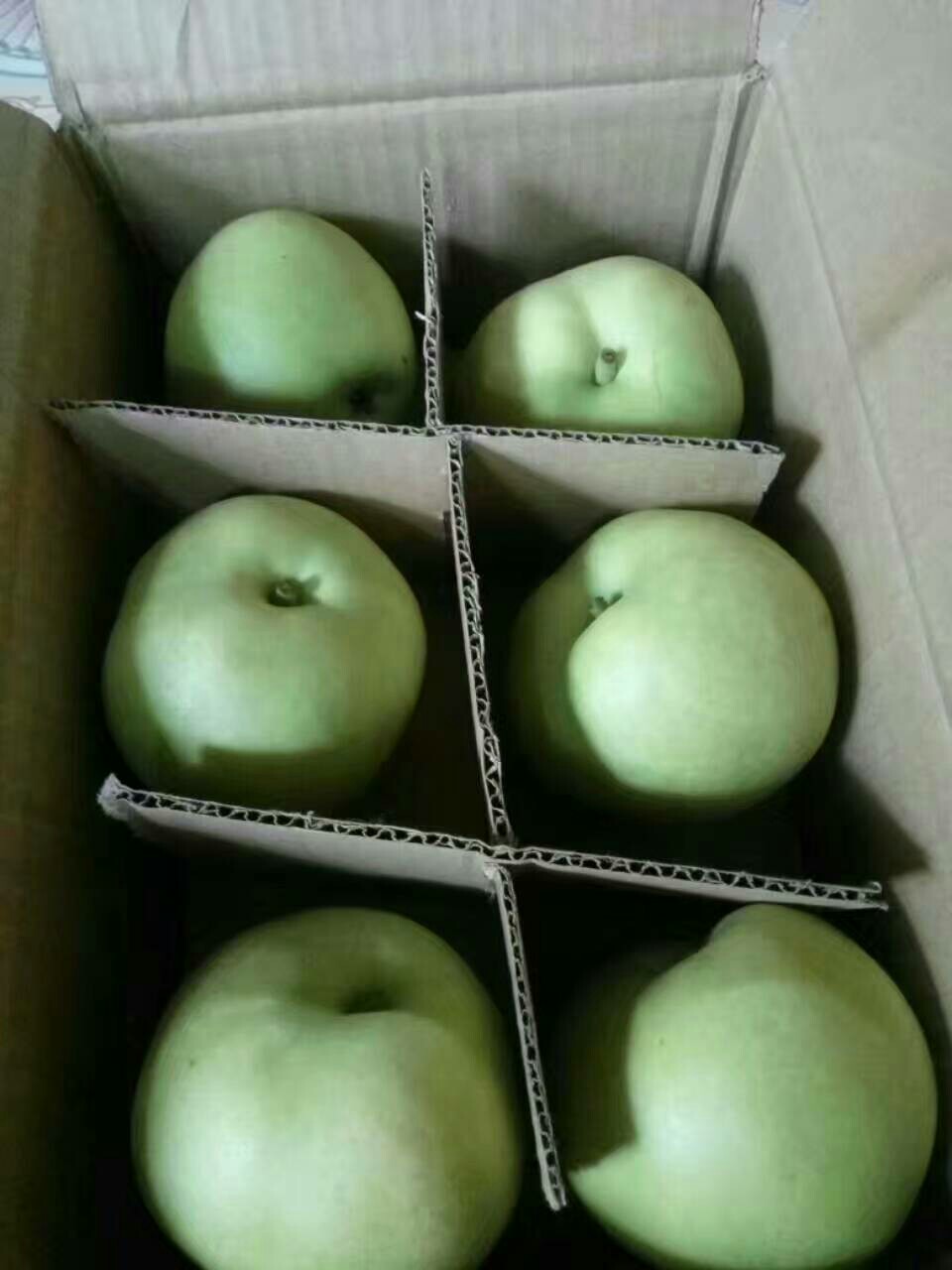 350-400g绿宝石梨