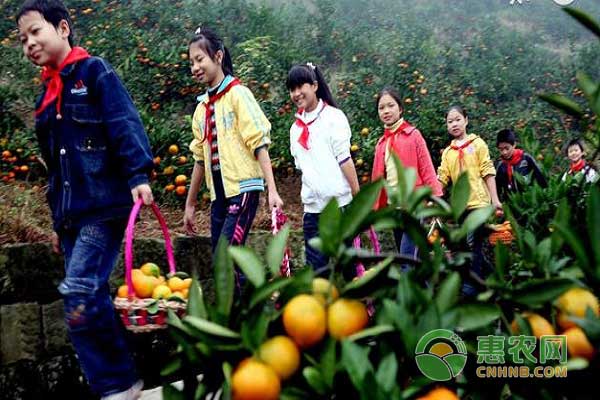 果樹病蟲害防治手段與技巧之天敵方法防治果樹病蟲 