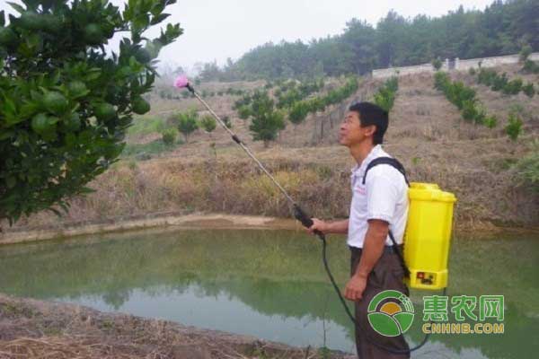 果樹病蟲害防治手段與技巧