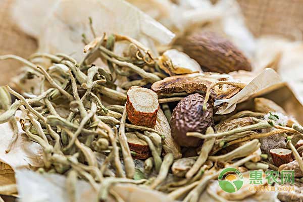 用中草藥當(dāng)飼料添加劑