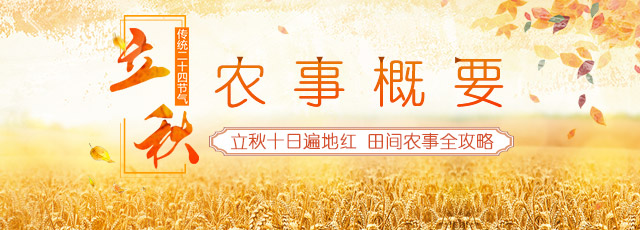 立秋時(shí)節(jié)田間農(nóng)事全攻略
