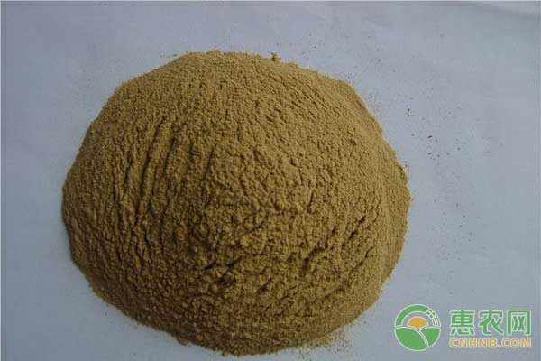  豬場除臭改良飼料是關(guān)鍵 