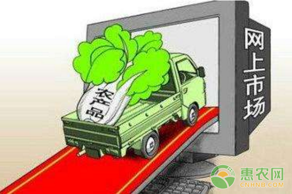 怎么走好農(nóng)村電商創(chuàng)新這條道路?