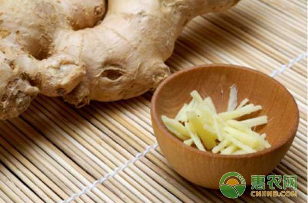 生姜套種西瓜高效栽培技術(shù)