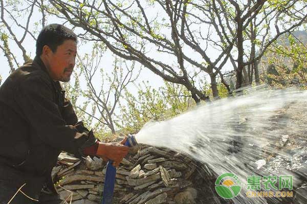 果園水分管理之果園兩種節(jié)水灌溉途經