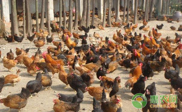 不宜突然換料