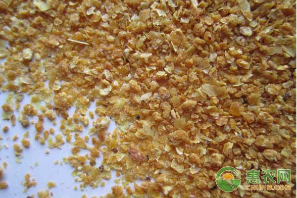 科學(xué)配制豬飼料必須遵守的四個(gè)營(yíng)養(yǎng)搭配原則