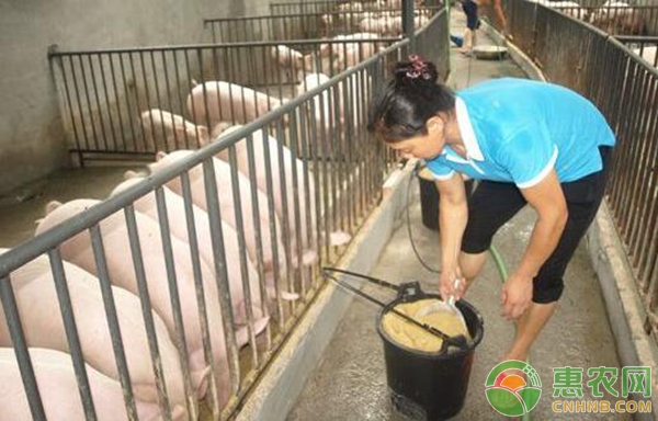 豆腐渣在養(yǎng)殖中的使用方法及注意事項