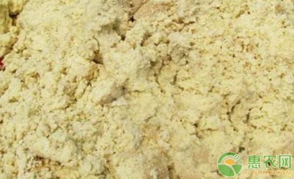 豆腐渣養(yǎng)豬