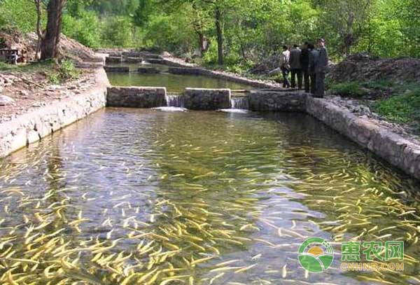 金八銀九時(shí)節(jié)水產(chǎn)養(yǎng)殖管理的重點(diǎn)