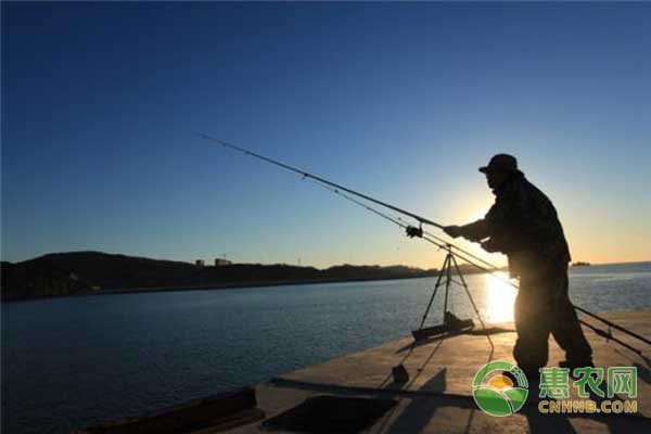 釣魚技巧之解決小雜魚鬧窩的四種方法