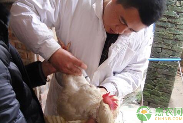 肌肉注射法 
