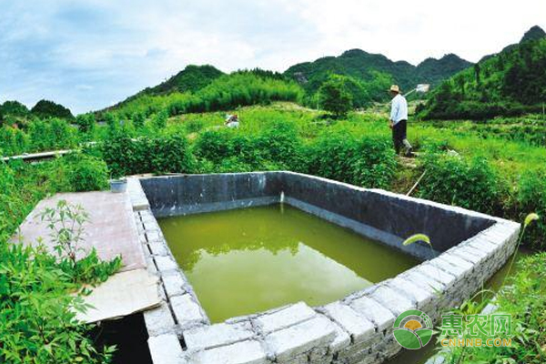 養(yǎng)豬場實現(xiàn)種養(yǎng)結(jié)合，豬糞尿應(yīng)如何利用