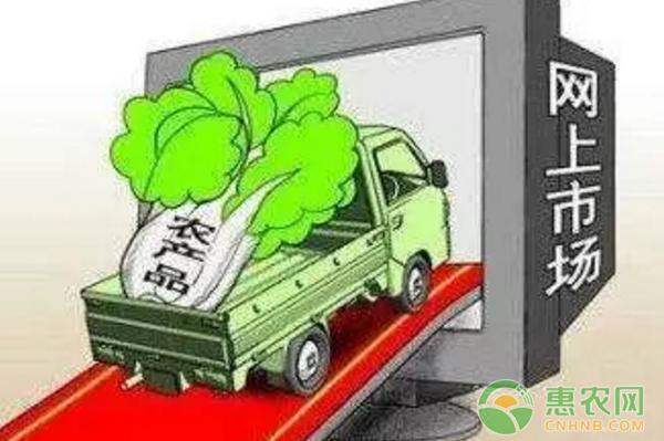 野农优品的几个创办人在赤峰市旗县考察