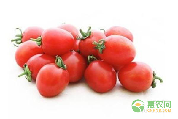 一個(gè)小竅門告訴你如何在家里陽(yáng)臺(tái)種小番茄