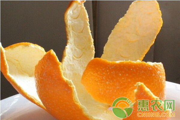 養(yǎng)豬巧用柑桔皮，桔子皮喂豬具體有哪些好處？